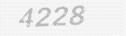 Visual security code — type the characters shown in the image